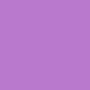 purple-2.png